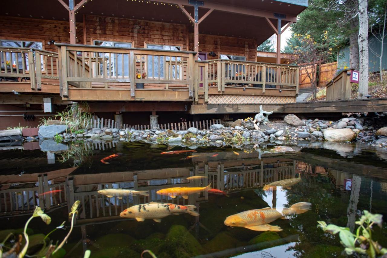 Bed and Breakfast Bear Creek Winery And Lodging Гомер Екстер'єр фото