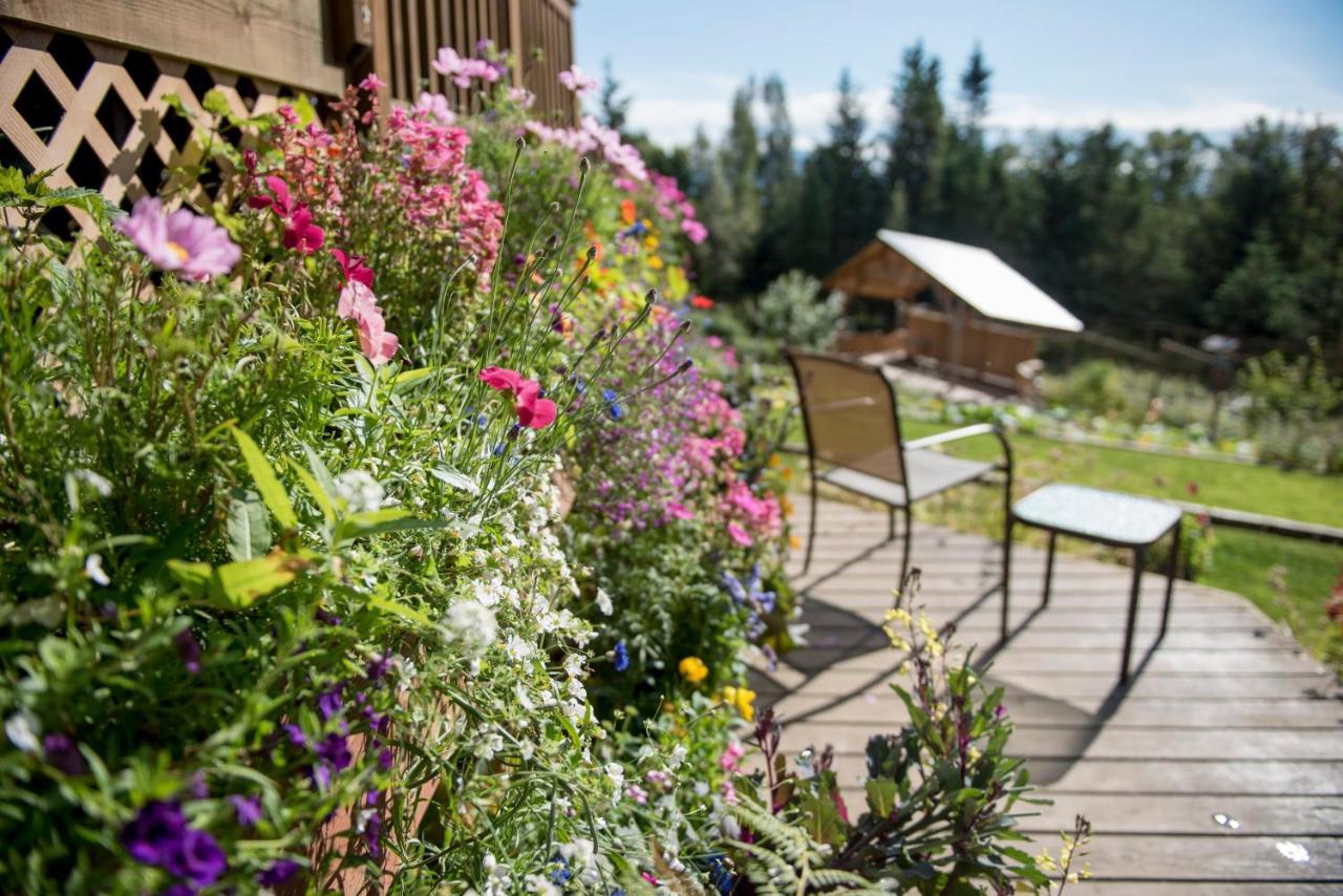 Bed and Breakfast Bear Creek Winery And Lodging Гомер Екстер'єр фото